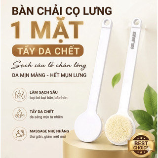 Bàn Chải Tắm Cọ Lưng Cán Dài Massage Tẩy Da Chết  – Lông Mềm Mịn, Giảm Mụn Lưng