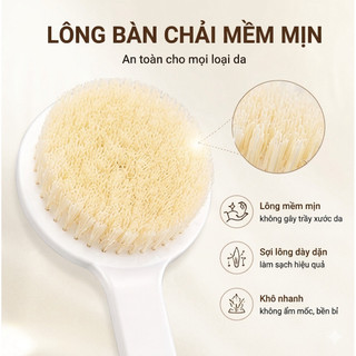 Bàn Chải Tắm Cọ Lưng Cán Dài Massage Tẩy Da Chết  – Lông Mềm Mịn, Giảm Mụn Lưng