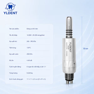 Củ Chậm YLDENT BX207 - Hàng Chính Hãng, Có Xuất VAT