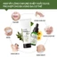 Combo Kem Tẩy Lông Vùng Bikini, Tay, Chân, Nách Cafuné | Kem Tẩy Lông Cafuné (100ml) và Serum Arinica (20ml) Kèm Que Gạt
