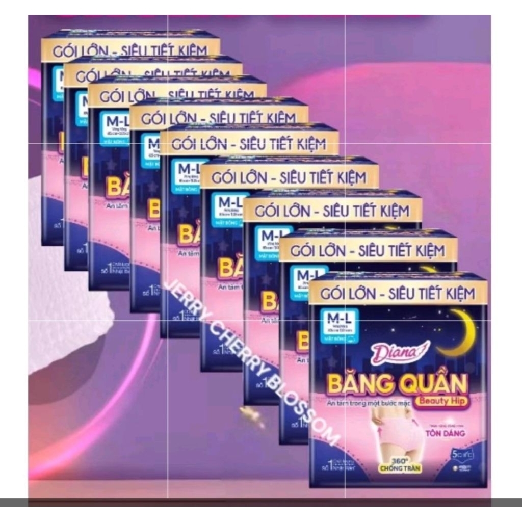 Bộ 10 gói băng vệ sinh dạng quần Diana Beauty hip 5 chiếc size SM/ML/XL