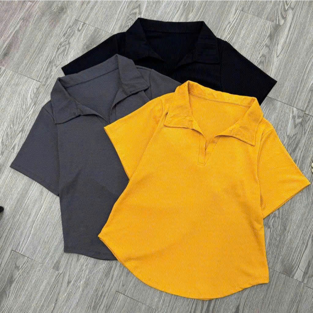 Áo Thun Kiểu Bigsize Nữ (40kg-95kg),Áo Thun Tay Ngắn Dáng Vạc Bầu Cổ Trụ Vải Gân Tăm Mặc Mát G120