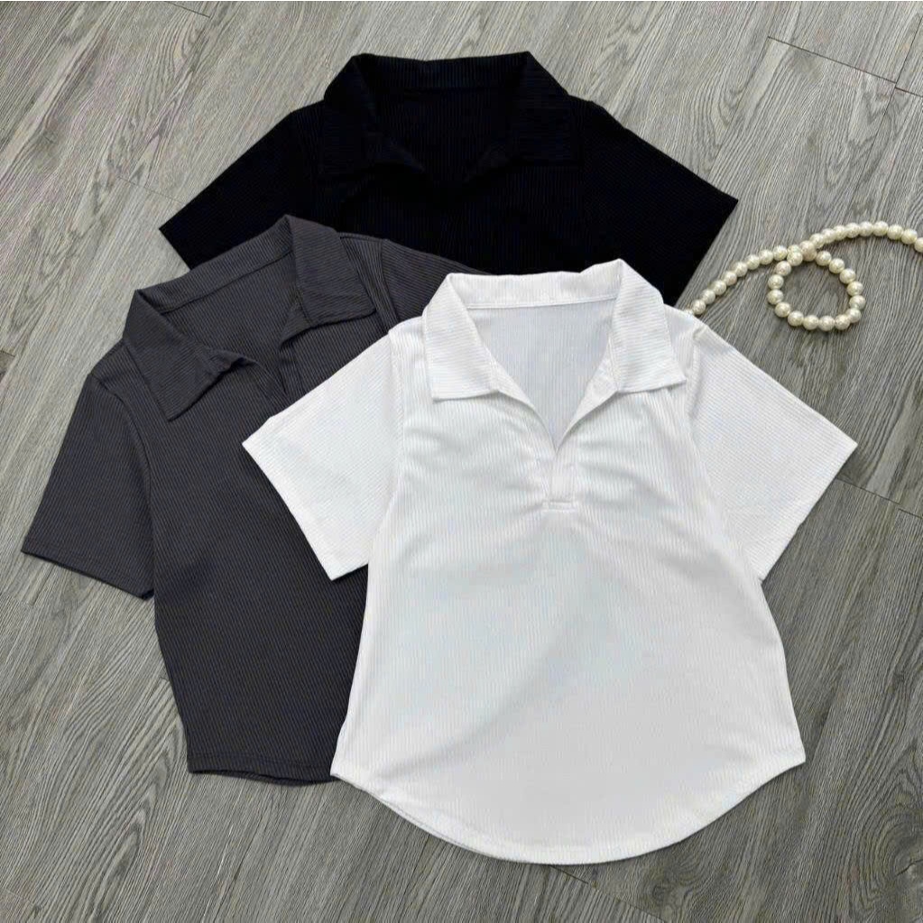 Áo Thun Kiểu Bigsize Nữ (40kg-95kg),Áo Thun Tay Ngắn Dáng Vạc Bầu Cổ Trụ Vải Gân Tăm Mặc Mát G120