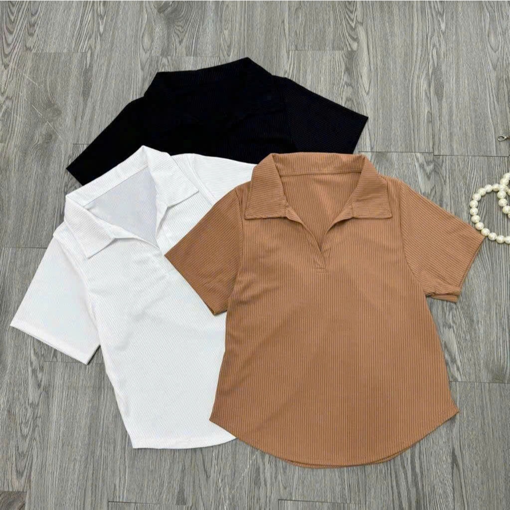 Áo Thun Kiểu Bigsize Nữ (40kg-95kg),Áo Thun Tay Ngắn Dáng Vạc Bầu Cổ Trụ Vải Gân Tăm Mặc Mát G120