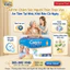 TÃ DÁN NGƯỜI LỚN CARYN L20 (SIZE L - 20 MIẾNG) - SIÊU THẤM HÚT 10H & BẢO VỆ DA