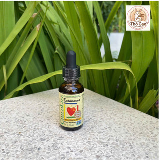 Siro bổ sung vitamin và khoáng chất ChildLife Echinacea Cho Bé-Siro Cúc Tím Giáp Giảm Cảm Cúm, Ho, Sổ Mũi (Chai 30ml)