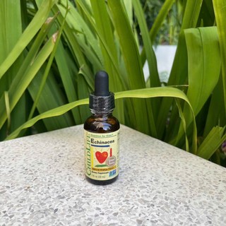 Siro bổ sung vitamin và khoáng chất ChildLife Echinacea Cho Bé-Siro Cúc Tím Giáp Giảm Cảm Cúm, Ho, Sổ Mũi (Chai 30ml)