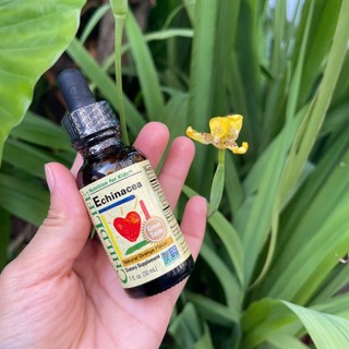 Siro bổ sung vitamin và khoáng chất ChildLife Echinacea Cho Bé-Siro Cúc Tím Giáp Giảm Cảm Cúm, Ho, Sổ Mũi (Chai 30ml)
