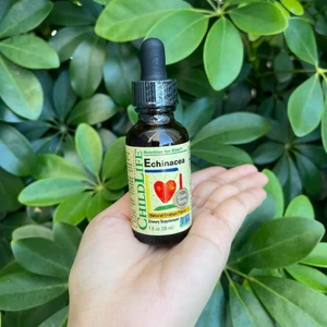 Siro bổ sung vitamin và khoáng chất ChildLife Echinacea Cho Bé-Siro Cúc Tím Giáp Giảm Cảm Cúm, Ho, Sổ Mũi (Chai 30ml)
