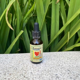 Siro bổ sung vitamin và khoáng chất ChildLife Echinacea Cho Bé-Siro Cúc Tím Giáp Giảm Cảm Cúm, Ho, Sổ Mũi (Chai 30ml)