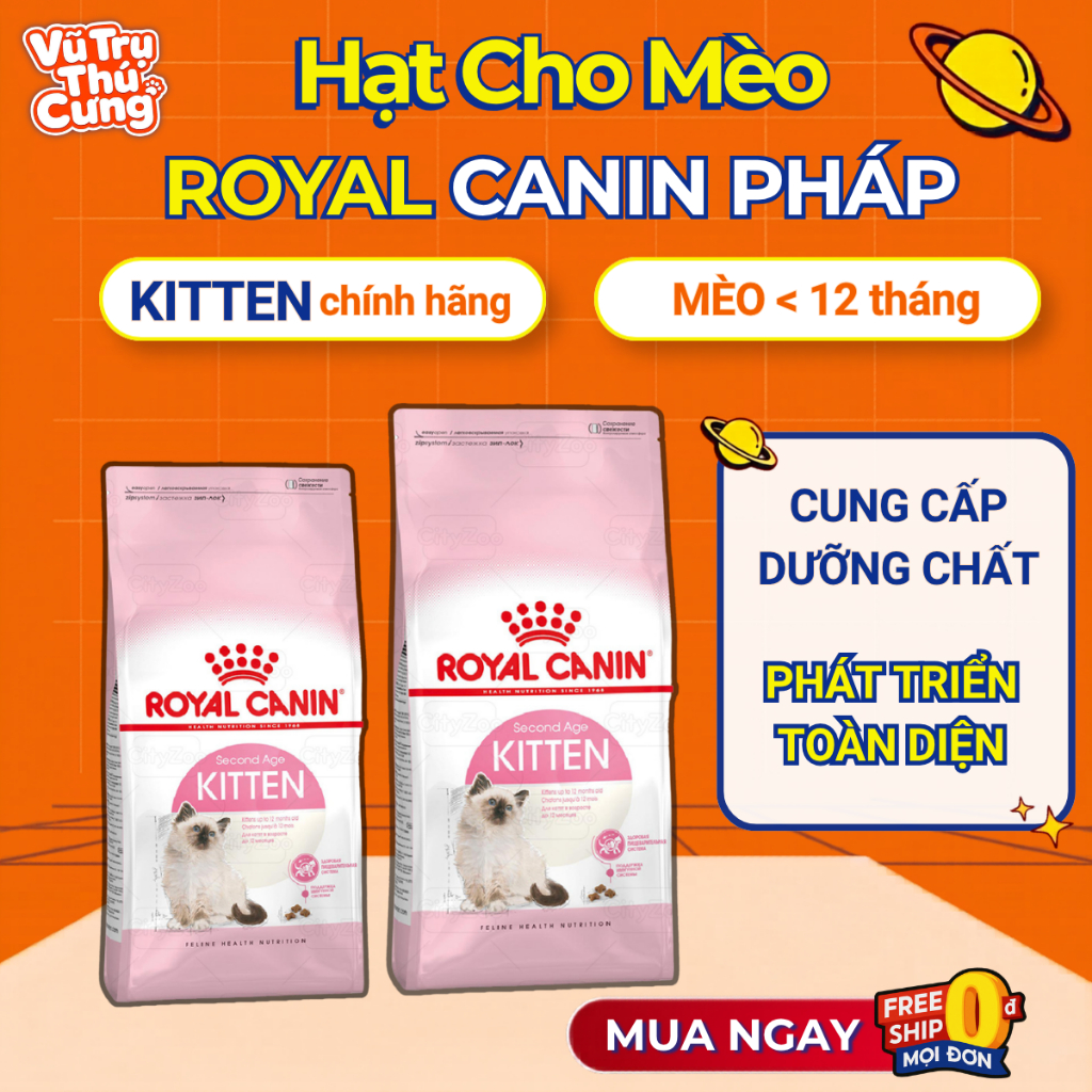 Thức Ăn Hạt Cho Mèo Con Royal Canin Kitten Hỗ Trợ Tiêu Hóa