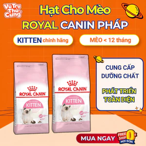 Thức Ăn Hạt Cho Mèo Con Royal Canin Kitten Hỗ Trợ Tiêu Hóa
