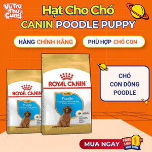 Hạt cho Chó con Royal Canin Poodle Puppy 500g