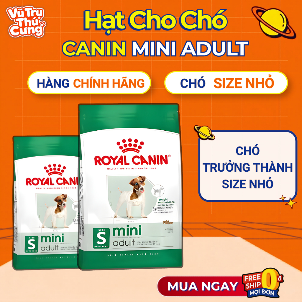 Hạt cho chó trưởng thành Royal Canin Mini Adult