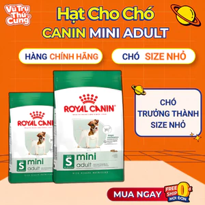 Hạt cho chó trưởng thành Royal Canin Mini Adult