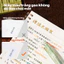 Sổ Còng Deli B5 Chống Cấn Tay – Vở Lò Xo Ruột Thay Thế, Giấy Kẻ Ngang/Kẻ Ô, Bìa Dẻo Tháo Lắp
