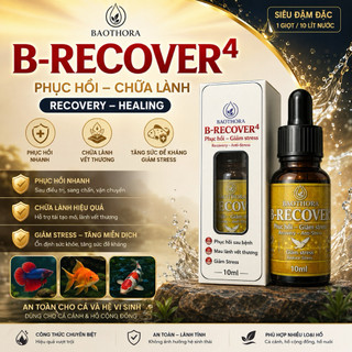 B-RECOVER 4 10ml Hỗ Trợ Cá Cảnh Phục Hồi Nhanh - Giảm Stress - Hỗ Trợ Lành Vây & Ổn Định Cá