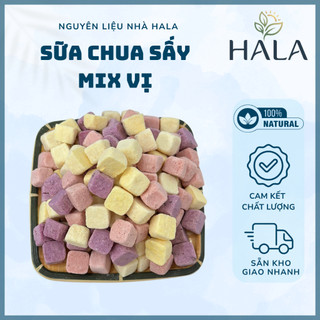 Túi 100g - 500g Sữa Chua Sấy Mix Vị Trái Cây Dạng Viên, Giòn, Xốp, Loại Ngon Ăn Vặt Tiện Lợi - HALA