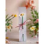 Combo 6 Bông Hoa Cúc Daisy - Decor Kawaii Xinh Xắn – Quà Tặng, Trang Trí Góc Học Tập 🌼✨