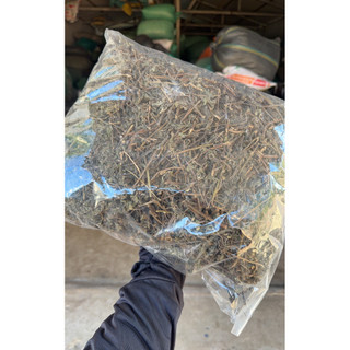 Nhọ Nồi (Cỏ Mực) Khô 1kg Nguyên Chất | Dược Liệu Khô Chọn Lọc | Thảo Dược Đạt Huyền