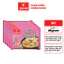 Set 5/ Set 10/ Thùng Miến Sườn Heo VIFON 60gr