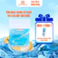 Hộp 500 chiếc tăm nhựa xương cá YUMY an toàn cho nướu - Tặng 1 hộp tăm nhựa mini 70c