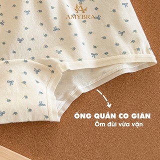 Combo Quần Lót Nữ Cotton Họa Tiết Hoa Nhí, Set Quần Chip Nữ Dáng Đùi Kháng Khuẩn AMYBRA L5522