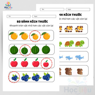 Phiếu Bài Tập Quan Sát Và So Sánh Kích Thước Cho Bé 3-6 Tuổi Rèn Quan Sát Và Tập Trung