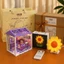 Set combo quà tặng : Mô hình diy nhà mini + đèn ngủ hình dễ thương cắm điện & điều khiển từ xa
