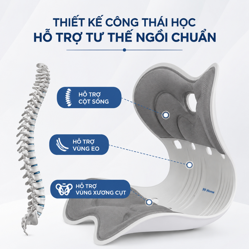Ghế SuperFit 99 Home giảm đau mỏi lưng chỉnh dáng ngồi đúng