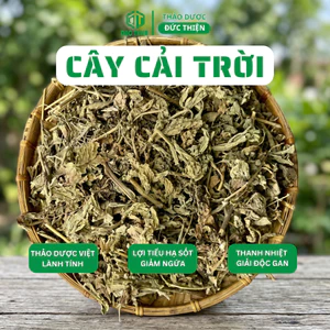 500g, 1kg Cây Cải Trời Loại 1 Đức Thiện (Khô, Sạch, Thơm) - Bướu Cổ, Lở Ngứa, Thuỷ Đậu, Vẩy Nến