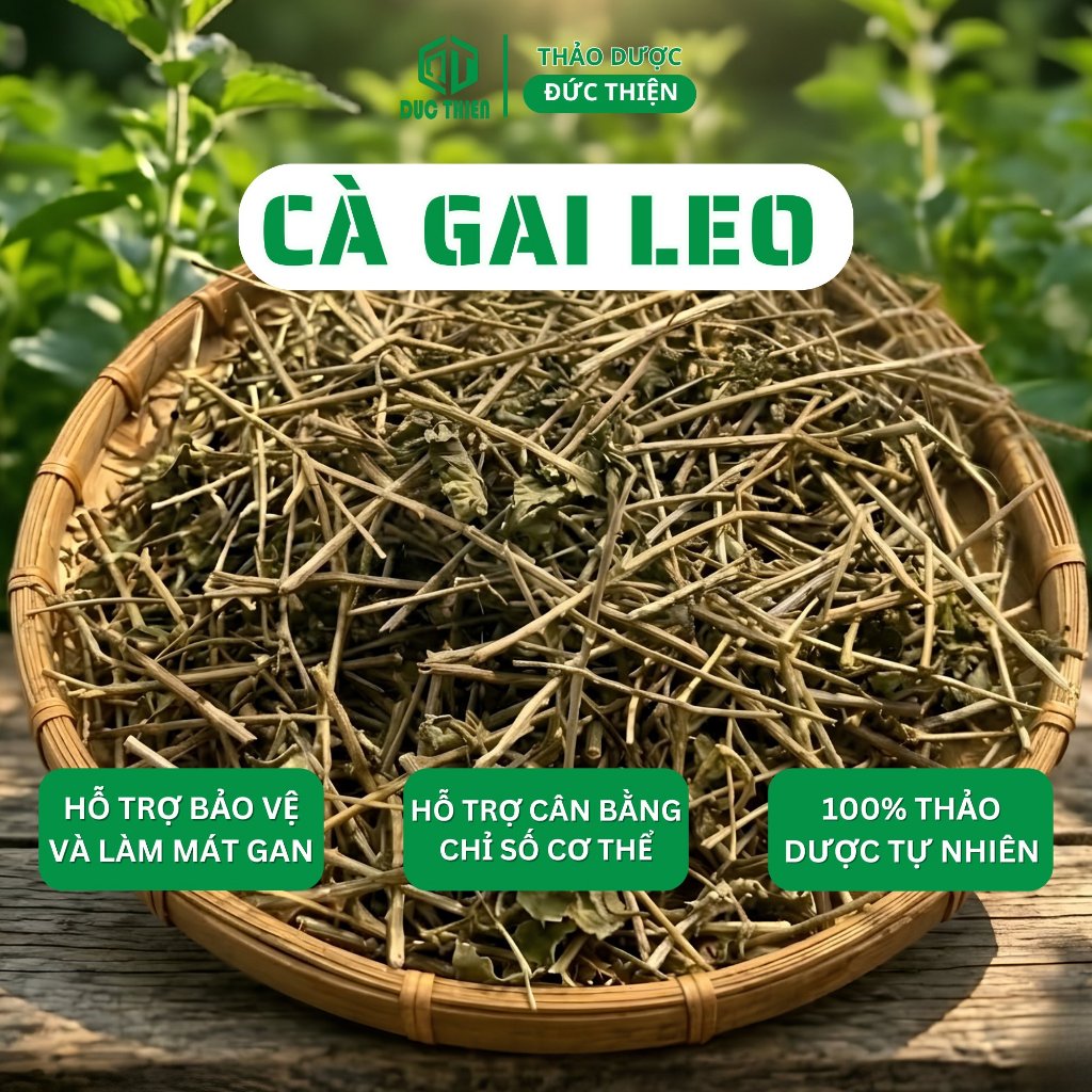 500g Cà Gai Leo Loại 1 Đức Thiện (Khô, Sạch, Thơm) - Hỗ Trợ Ung Thư, Men Gan, Gan Nhiễm Mỡ, Gan B C