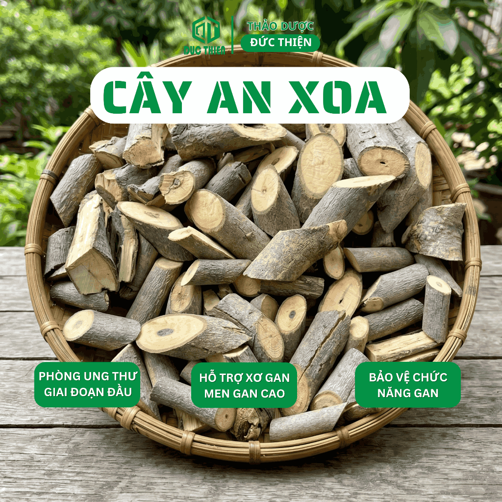 1kg Cây An Xoa Loại 1 Đức Thiện (Khô, Sạch, Thơm) - Hỗ Trợ Các Vấn Đề Về Gan, U-ng Th-ư Gan