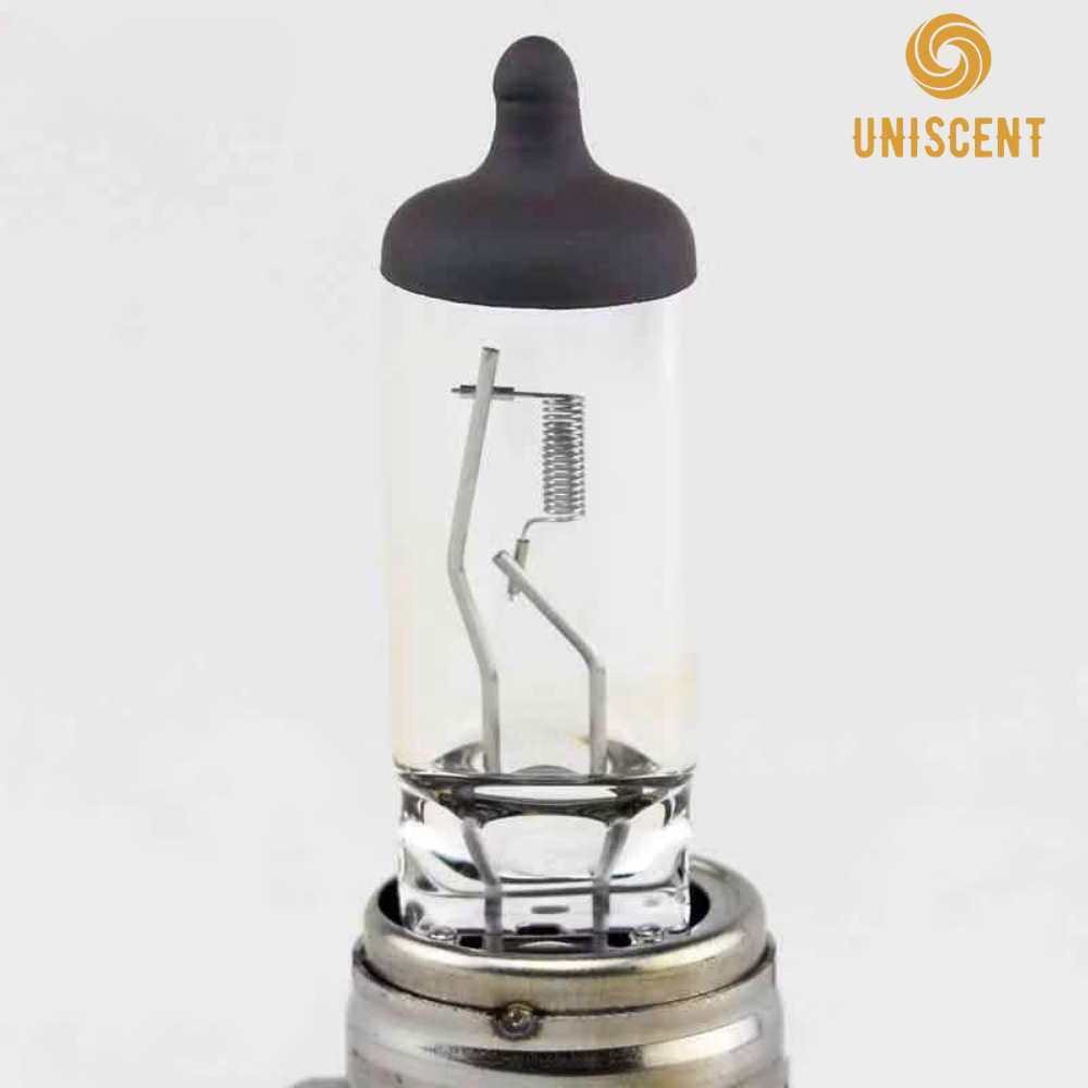 Bóng Đèn Halogen PHA/COS NOUVO 5/6/SX H11-12V-55/100w (PGJ19-2) Chip Osram BSOZZ- Made In Thailand