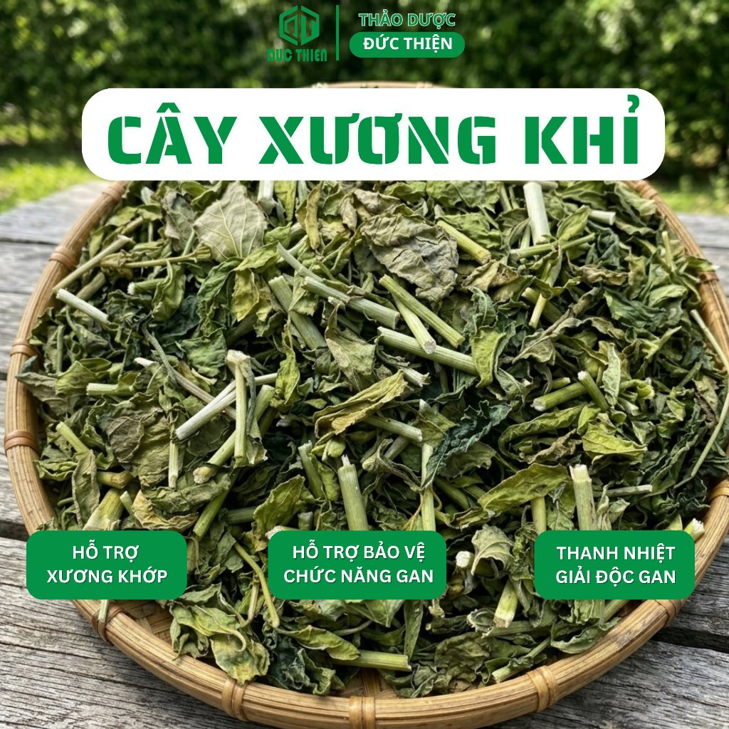 Cây Xương Khỉ (Cây Bìm Bịp) Loại 1 Đức Thiện (Khô, Sạch, Thơm) - Hỗ Trợ Ung Thư, Men Gan Cao