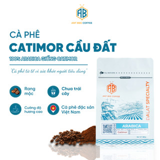 [CÀ PHÊ ORINVIETNAM x ANTBEE] ARABICA CATIMOR – CẦU ĐẤT- ĐÀ LẠT - 250g - [COLDBREW, POUROVER, PHIN]