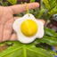 Móc Khóa Đồ Chơi Trứng Ốp la Cute_ Đồ Chơi bấm Click Trang Trí Chìa Khóa, Túi Xách_ Móc Khóa Fidget Toy In 3D Xả Stress