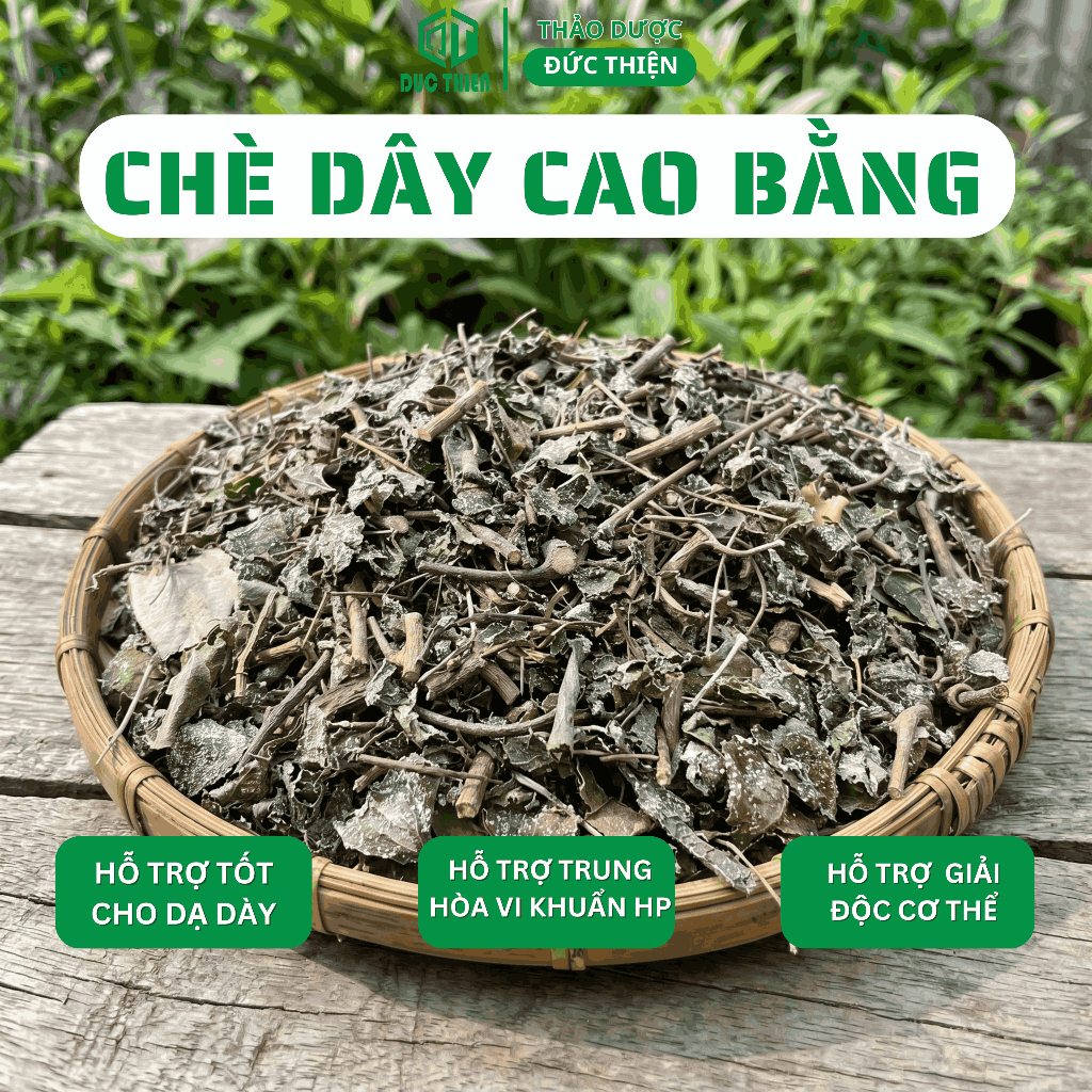500g, 1kg Chè Dây Cao Bằng Loại 1 Đức Thiện (Khô, Sạch, Thơm) - Tốt Cho Dạ Dày