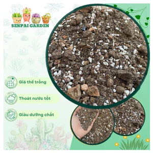 Giá thể trồng sen đá xương rồng siêu thoáng sỉ than tổ ong, đá perlite, xơ dừa ,trấu hun.thoát nước nhanh