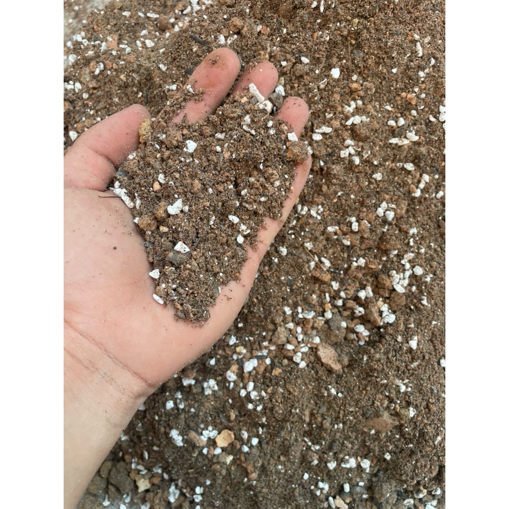 (Đất Trồng) Giá thể trồng sen đá xương rồng siêu thoáng sỉ than tổ ong, đá perlite, xơ dừa ,trấu hun.thoát nước nhanh