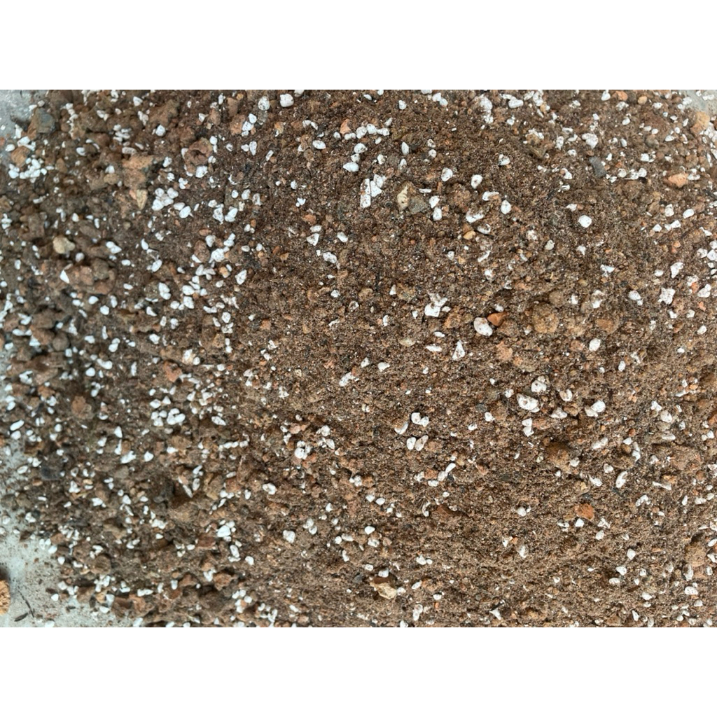 (Đất Trồng) Giá thể trồng sen đá xương rồng siêu thoáng sỉ than tổ ong, đá perlite, xơ dừa ,trấu hun.thoát nước nhanh