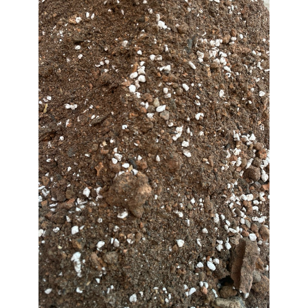 (Đất Trồng) Giá thể trồng sen đá xương rồng siêu thoáng sỉ than tổ ong, đá perlite, xơ dừa ,trấu hun.thoát nước nhanh