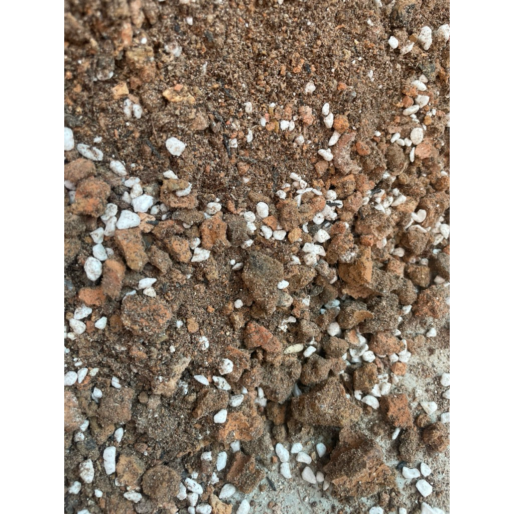 (Đất Trồng) Giá thể trồng sen đá xương rồng siêu thoáng sỉ than tổ ong, đá perlite, xơ dừa ,trấu hun.thoát nước nhanh