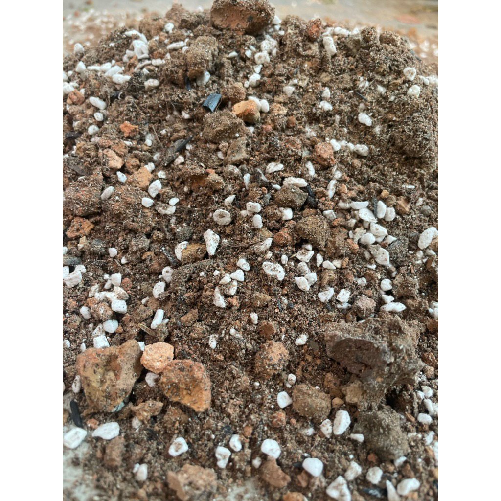 (Đất Trồng) Giá thể trồng sen đá xương rồng siêu thoáng sỉ than tổ ong, đá perlite, xơ dừa ,trấu hun.thoát nước nhanh