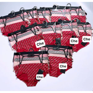 Combo 5c quần chip đúc su N.B xuất dư xin full moc treo (40-70kg)
