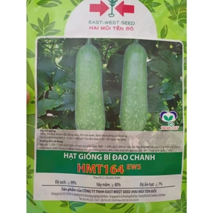 Gói 6 hạt Bí Đao Chanh HMT 164, Rau Ăn Quả CTY Hai Mũi Tên Nổi Tiếng, Năng Suất Cao, Trồng Quanh Năm, Hạt Nảy Mầm Nhanh