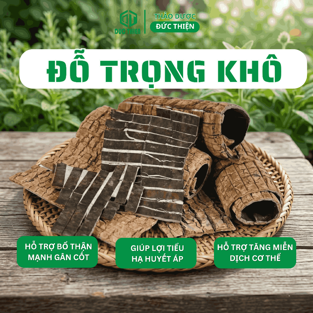 Đỗ Trọng Khô Miếng To Đẹp 200g – Bổ Thận Tráng Dương, Mạnh Gân Cốt, Điều Hòa Huyết Áp, An Thai