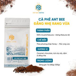 [CÀ PHÊ ORINVIETNAM x ANTBEE] CÀ PHÊ ANT BEE - ROBUSTA CƯ MGAR - 250g - [COLDBREW, POUROVER, PHIN]