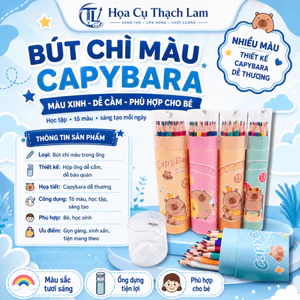 Hỏa tốc Bút chì màu dạng lon 12-48 màu CAPYBARA dạng ống tiện lợi thiết kế hộp ống gọn gàng đáng yêu
