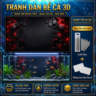 Decal tranh dán hồ cá 3D Kho In Ấn HC43 chống nước, In KTS dán dễ, gỡ dễ, có keo sẵn, nhiều kích cỡ